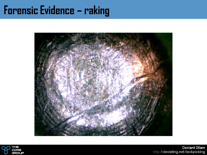 Forensic Evidence – raking